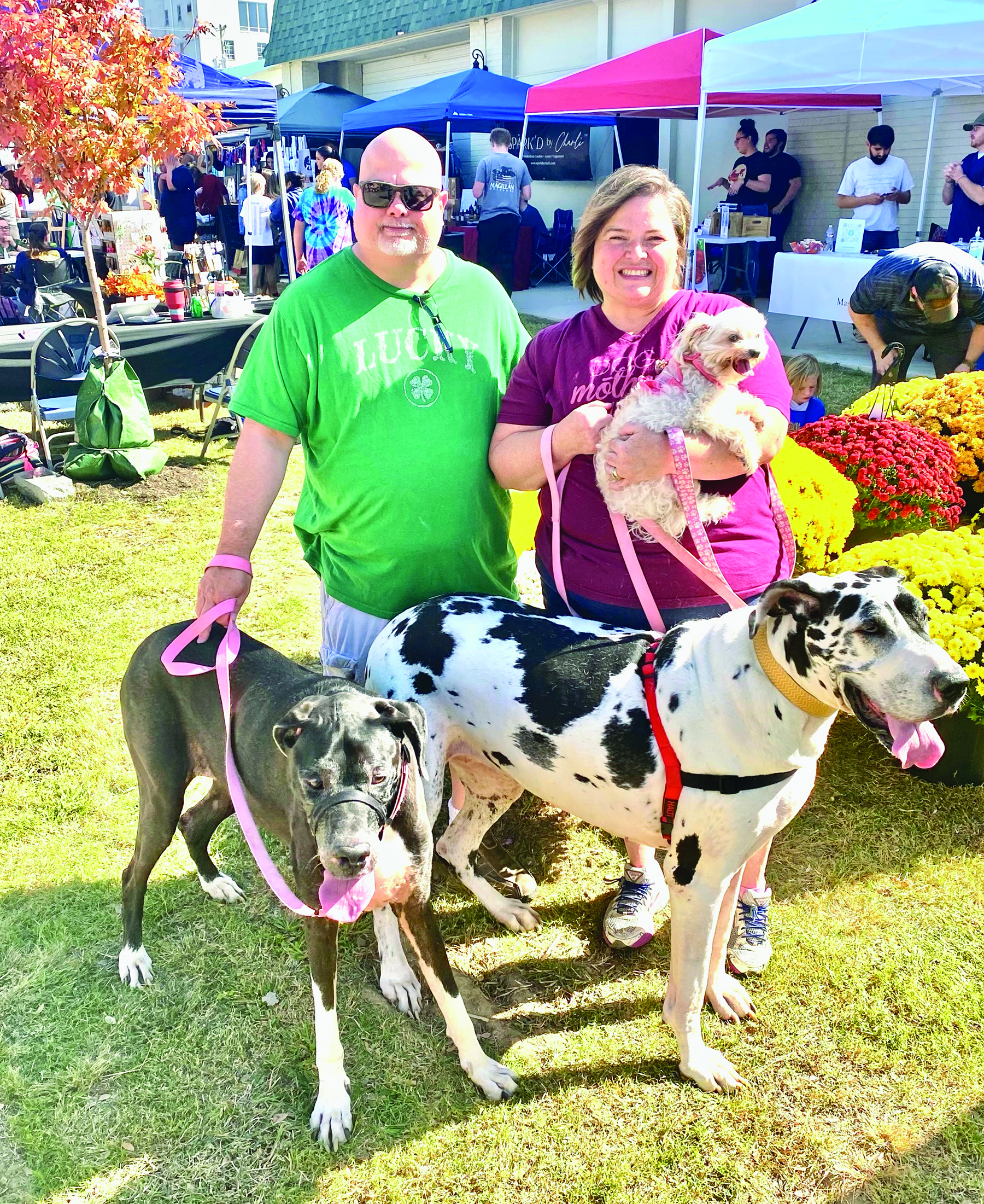 DJA Fall Fest 2023